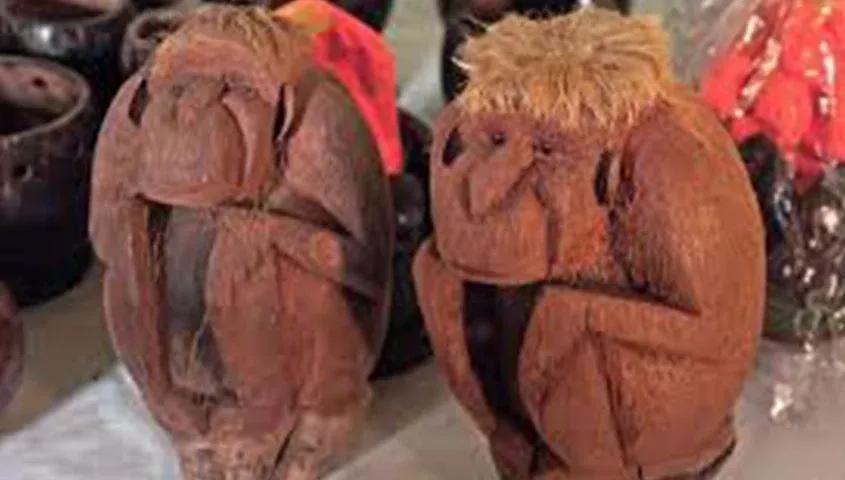 temp_image_GOI_Meta_C2_CATSNE_subcat_C5_5_1_c686fab4b1