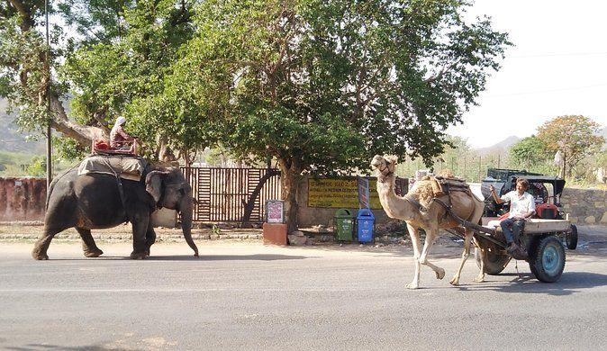 Jaipur Walking Tour
