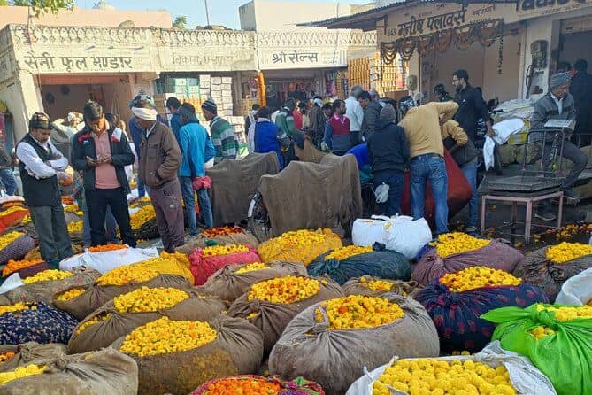 Jaipur Walking Tour