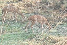 temp_image_JAI_Meta_C1_CATTTD_subcat_B14_4_0_1b6376d28c