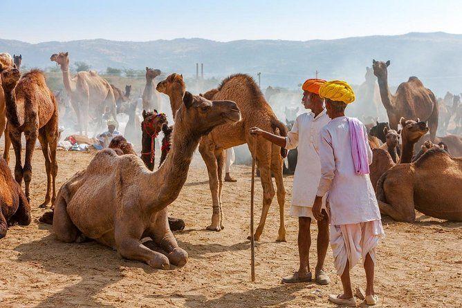 Private Day Trip to Ajmer & Pushkar from Jaipur