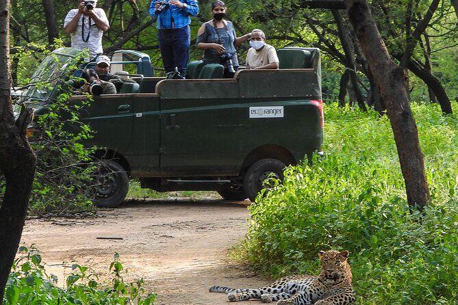 Jhalana Leopard Safari
