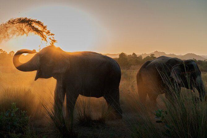 Private Elephant Sanctuary