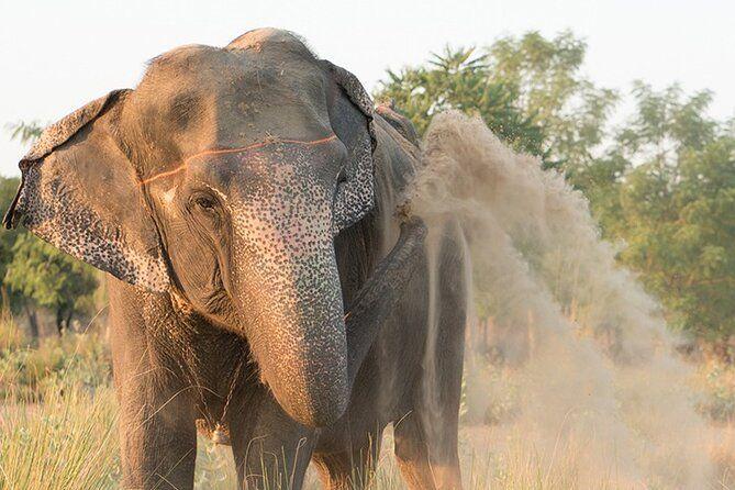 Private Elephant Sanctuary