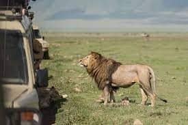 Nahargarh Biological & Zoological Park