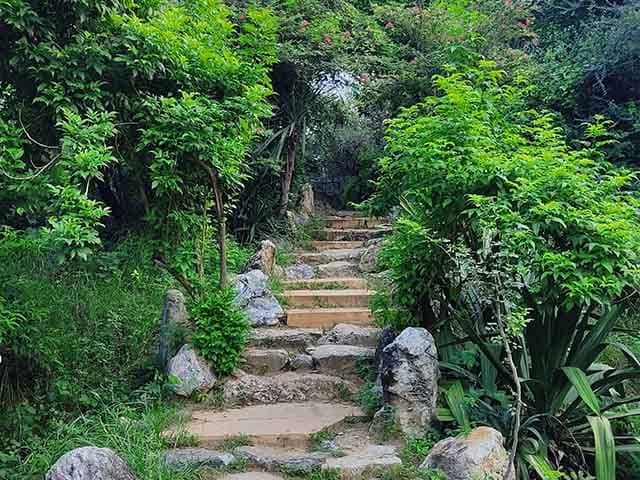 Smriti Van