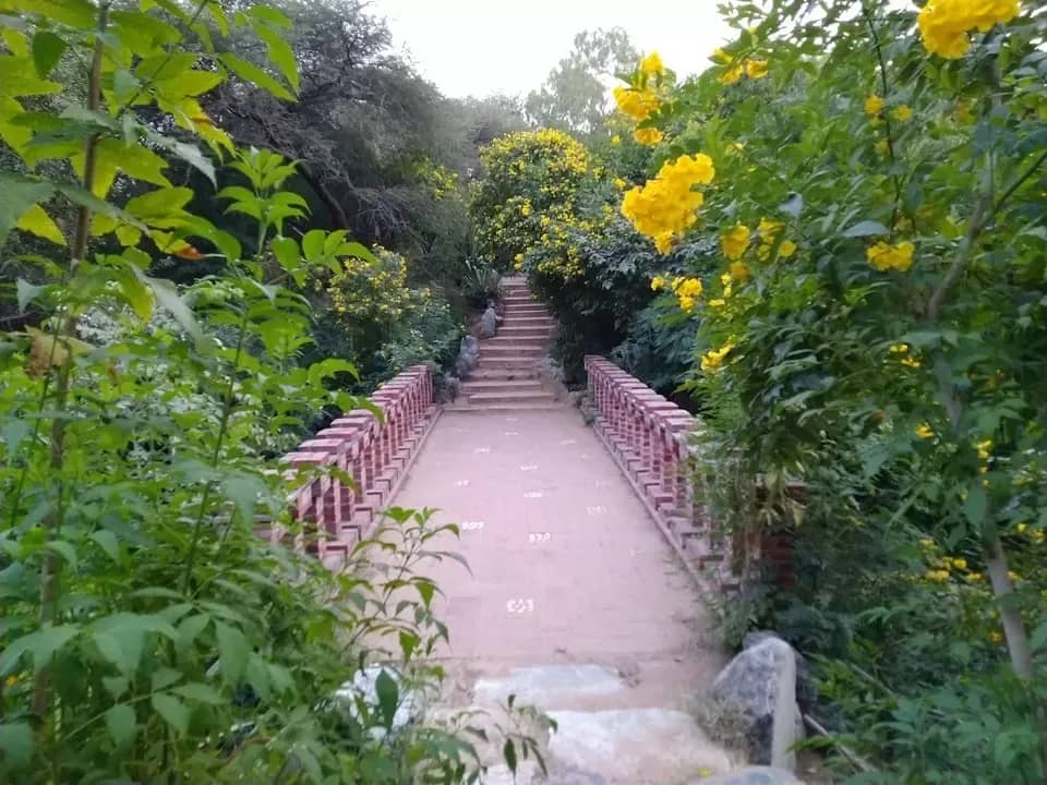 Smriti Van