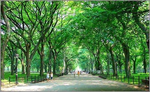 Central Park