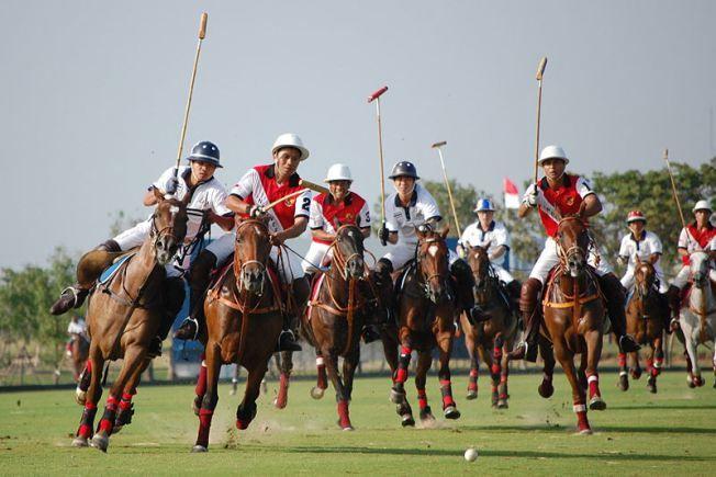 Polo Matches in Winters