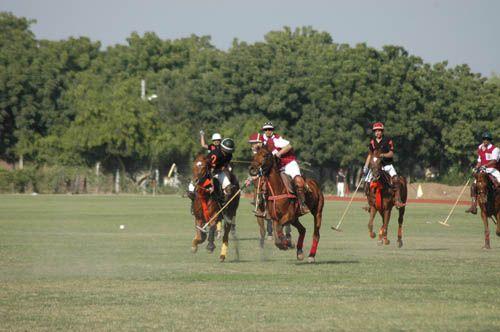 temp_image_JAI_Meta_C2_CATSNE_subcat_A13_2_1_55f3bbdbb6