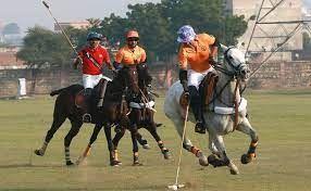 temp_image_JAI_Meta_C2_CATSNE_subcat_A13_2_2_7bfa943cf6