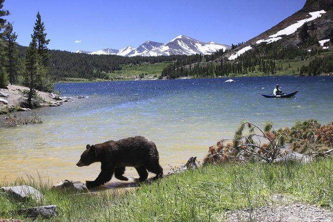 temp_image_SFO_Meta_C1_CATTTD_subcat_B14_1_2_45c2d49179