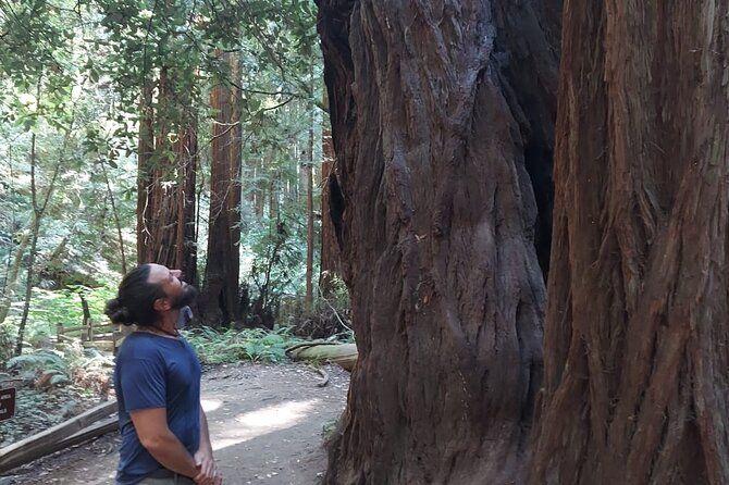 temp_image_SFO_Meta_C1_CATTTD_subcat_B14_3_14_607f76f8d3