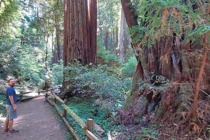 temp_image_SFO_Meta_C1_CATTTD_subcat_B14_3_16_408ba9875c