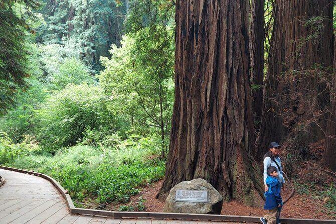 temp_image_SFO_Meta_C1_CATTTD_subcat_B14_3_32_5308c23791