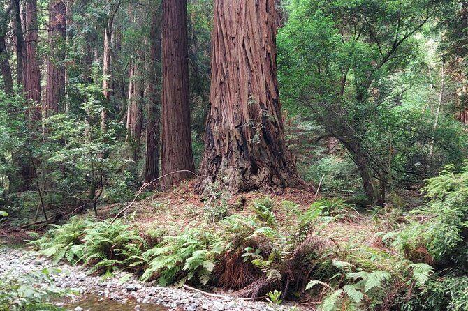 temp_image_SFO_Meta_C1_CATTTD_subcat_B14_3_33_4cf2c09b91
