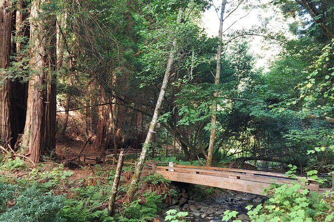 temp_image_SFO_Meta_C1_CATTTD_subcat_B14_3_34_c1c399980d