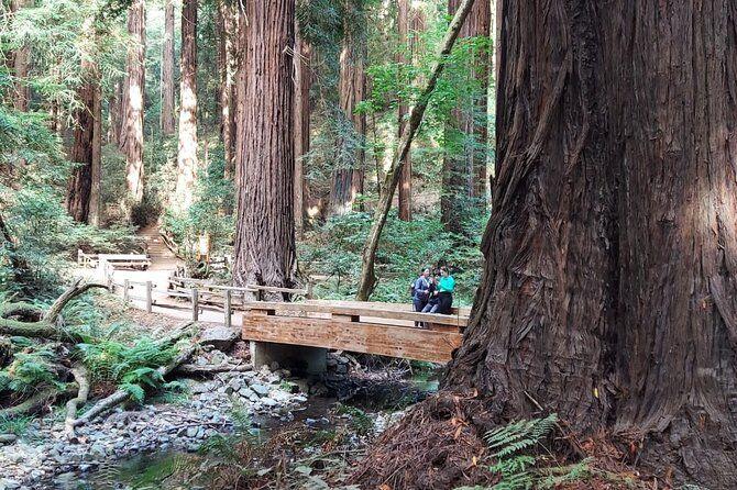 temp_image_SFO_Meta_C1_CATTTD_subcat_B14_3_35_aec9e61bb2