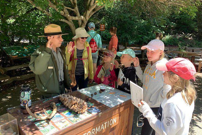 temp_image_SFO_Meta_C1_CATTTD_subcat_B14_3_9_7d3d048ef9