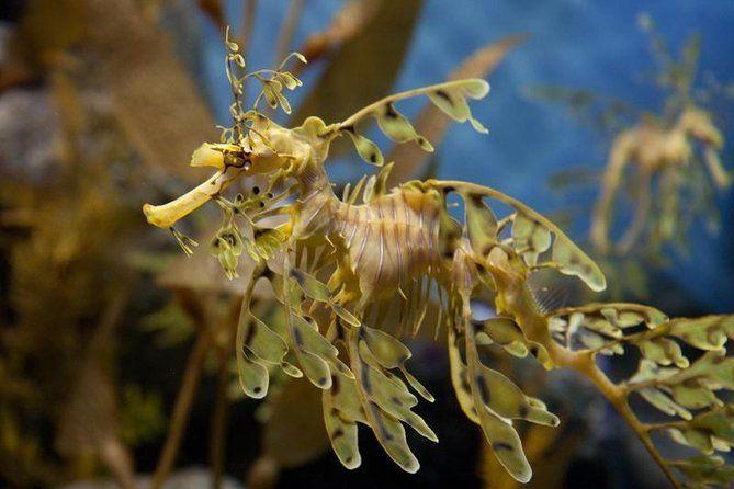 temp_image_SFO_Meta_C1_CATTTD_subcat_B14_4_11_e273154b6d