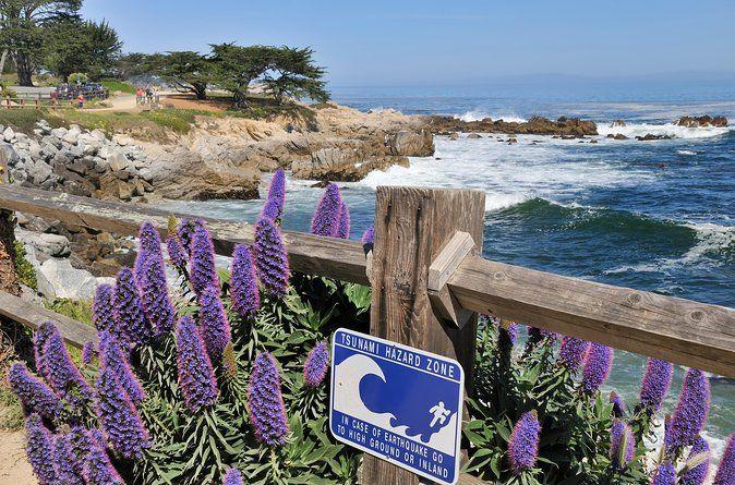 temp_image_SFO_Meta_C1_CATTTD_subcat_B14_4_6_e3c55f9853