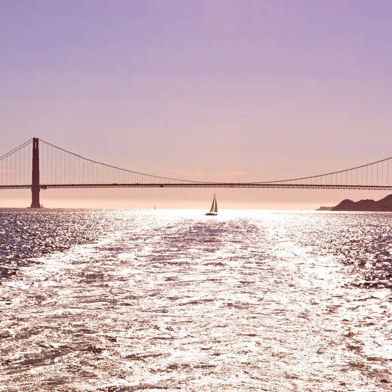 temp_image_SFO_MetaC1_CATTTD_subcatB5_1_5.jpg