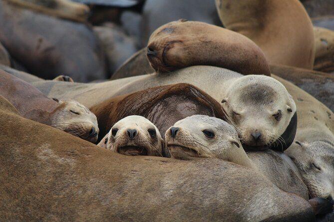 temp_image_SFO_Meta_C1_CATTTD_subcat_B5_2_12_6bbe1c55b9