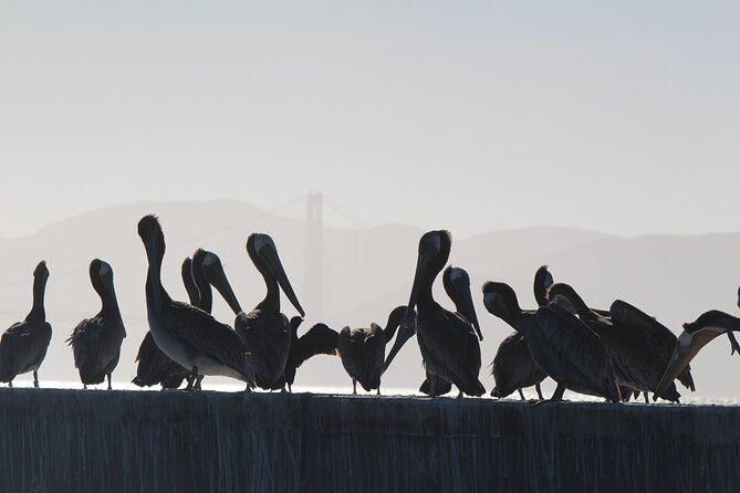 temp_image_SFO_Meta_C1_CATTTD_subcat_B5_2_16_ce6a2f680e