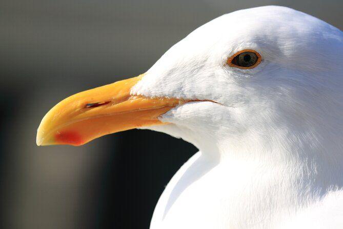 temp_image_SFO_Meta_C1_CATTTD_subcat_B5_2_17_4adb109a13