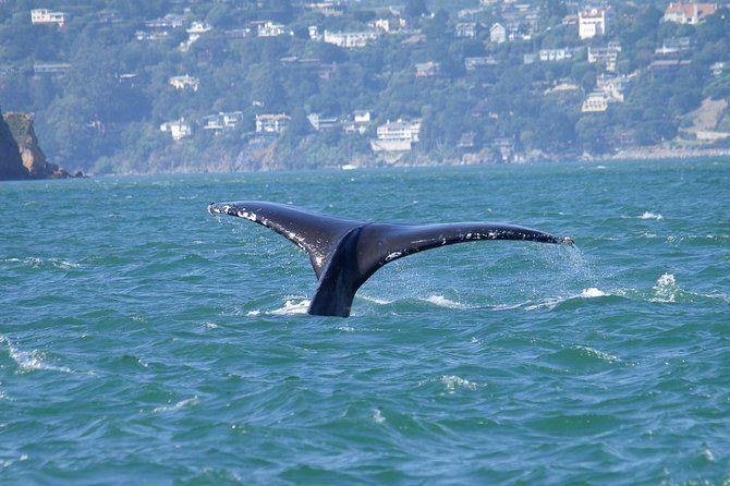 temp_image_SFO_Meta_C1_CATTTD_subcat_B5_2_9_c341ac23d7