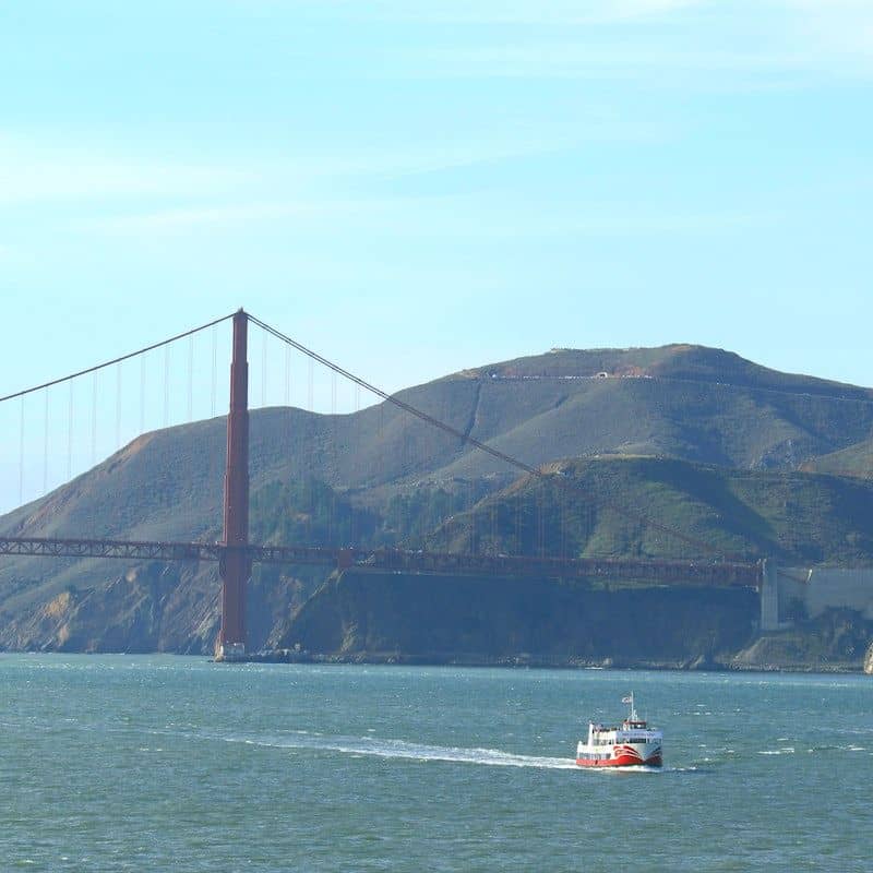 temp_image_SFO_MetaC1_CATTTD_subcatB5_4_3.jpg