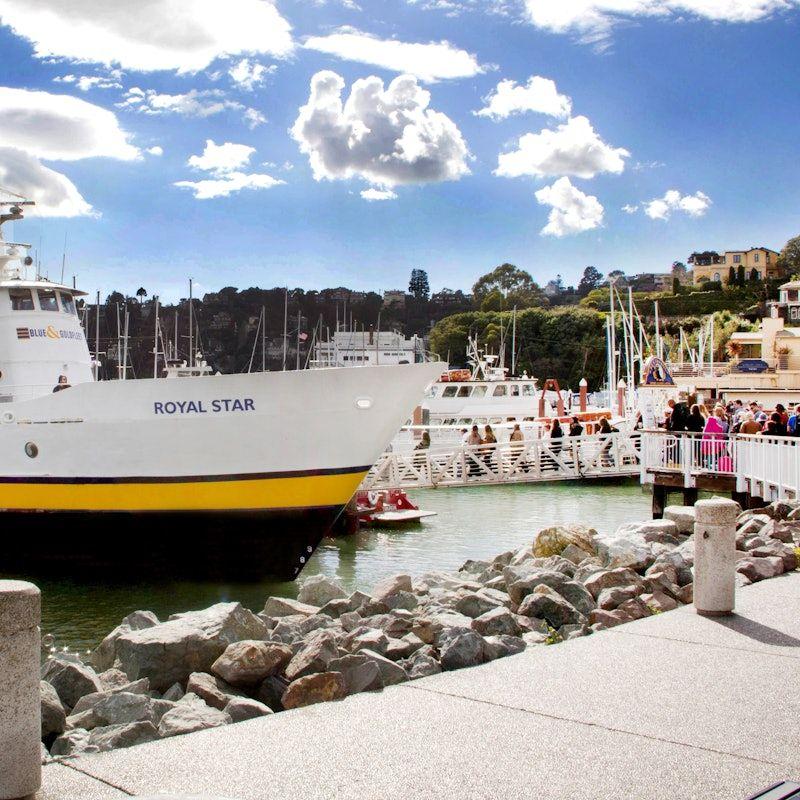 temp_image_SFO_Meta_C1_CATTTD_subcat_B5_6_1_e82a999f10