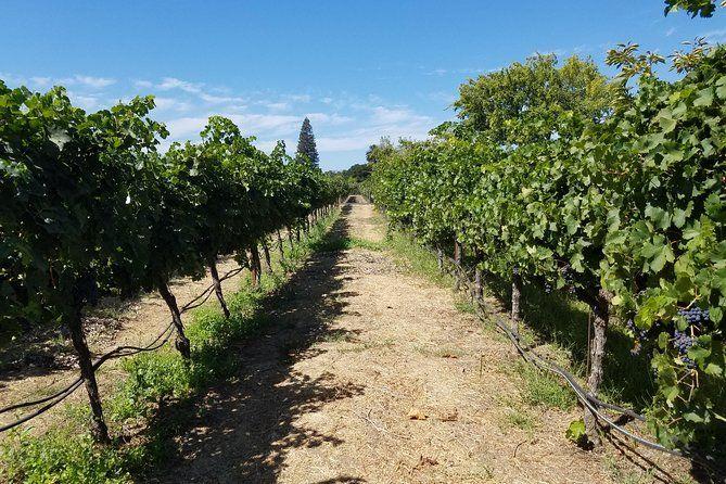 temp_image_SFO_Meta_C1_CATTTD_subcat_B9_3_3_1e3efc312e