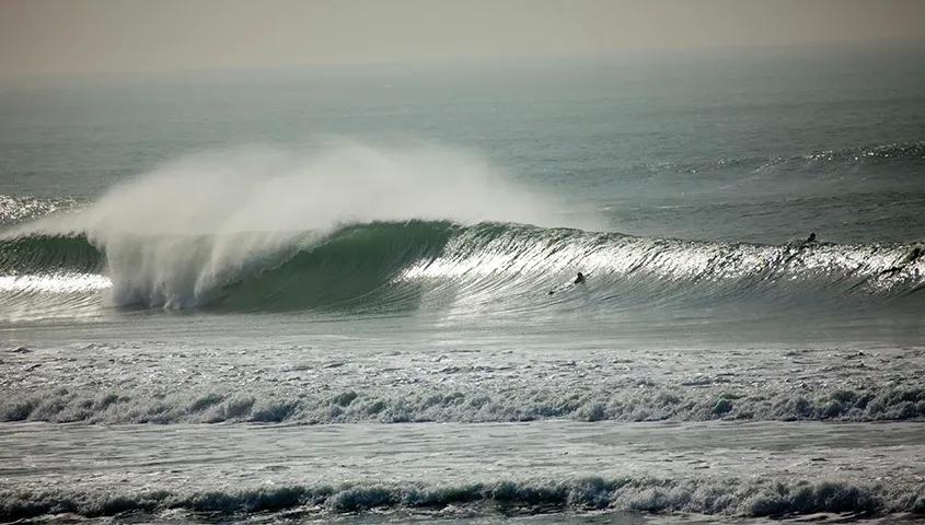 temp_image_SFO_Meta_C1_CATTTS_subcat_A1_3_1_ecdf424c4c