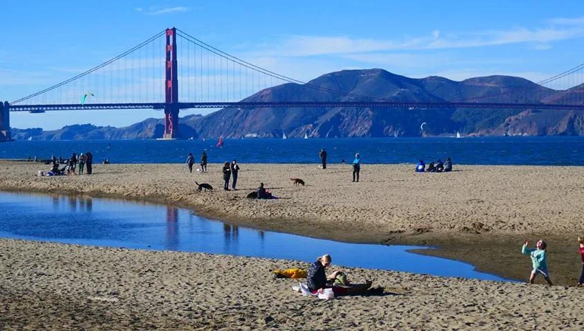 temp_image_SFO_Meta_C1_CATTTS_subcat_A1_4_3_7ae0e5e9ce