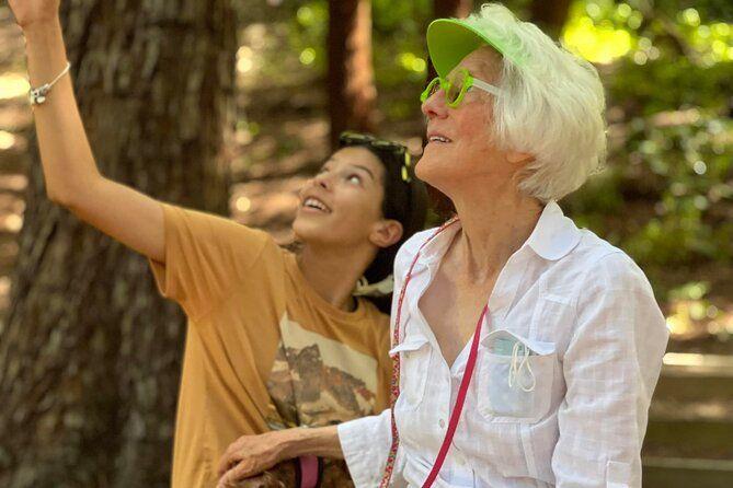 temp_image_SFO_Meta_C1_CATTTS_subcat_A2_3_0_345563bf22