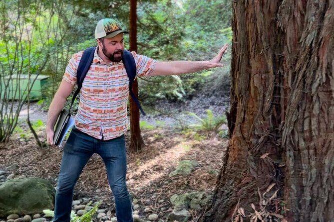 temp_image_SFO_Meta_C1_CATTTS_subcat_A2_3_2_f65993438b