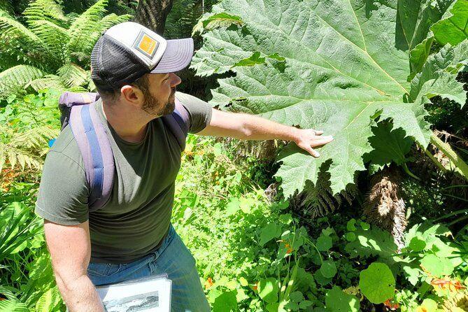 temp_image_SFO_Meta_C1_CATTTS_subcat_A2_3_5_5c3c28e3c8