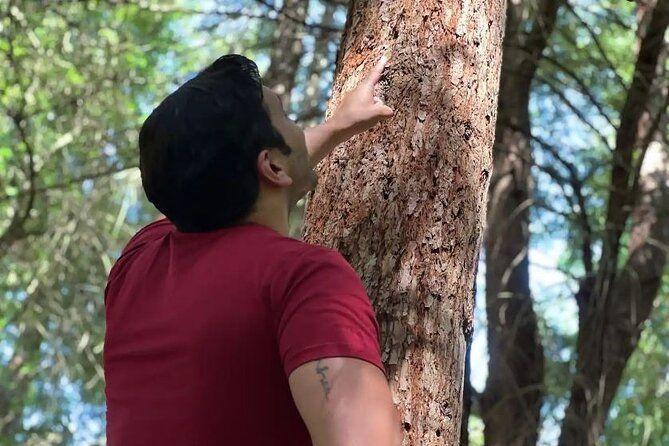 temp_image_SFO_Meta_C1_CATTTS_subcat_A2_3_7_9434c6af22