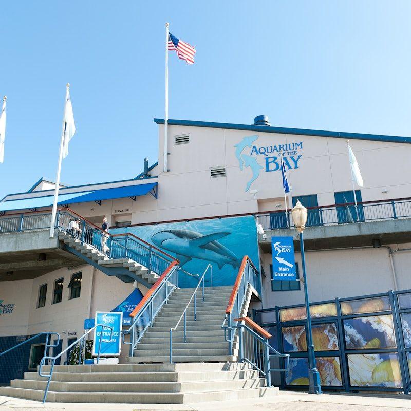 temp_image_SFO_Meta_C1_CATTTS_subcat_A2_5_1_97bbc0c0bd