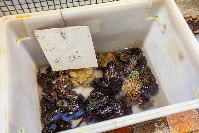 temp_image_SFO_Meta_C1_CATTTS_subcat_A3_3_5_2c9b167d37