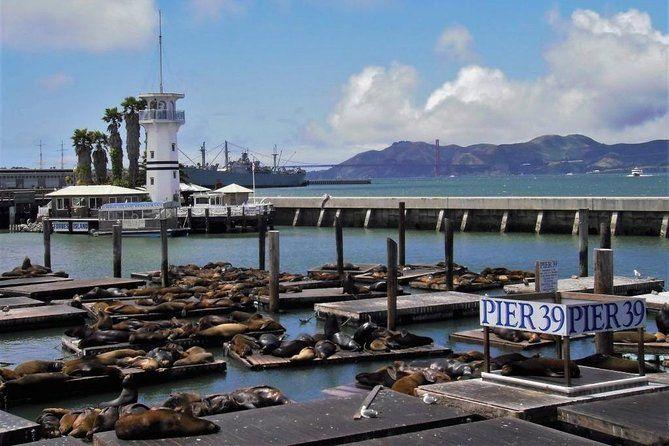 temp_image_SFO_Meta_C1_CATTTS_subcat_A4_4_9_bfa6f4b1ea