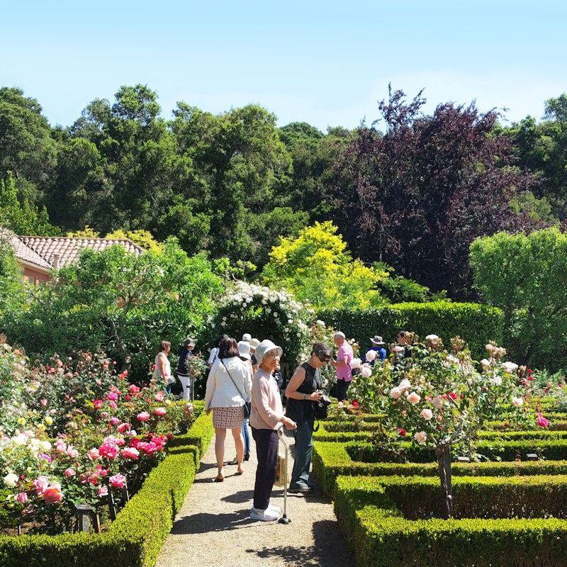 temp_image_SFO_Meta_C1_CATTTS_subcat_A5_2_5_4b16bd241f