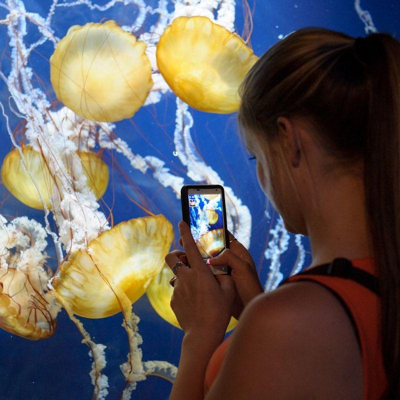 temp_image_SFO_Meta_C1_CATTTS_subcat_A5_7_3_ca9ef5459d