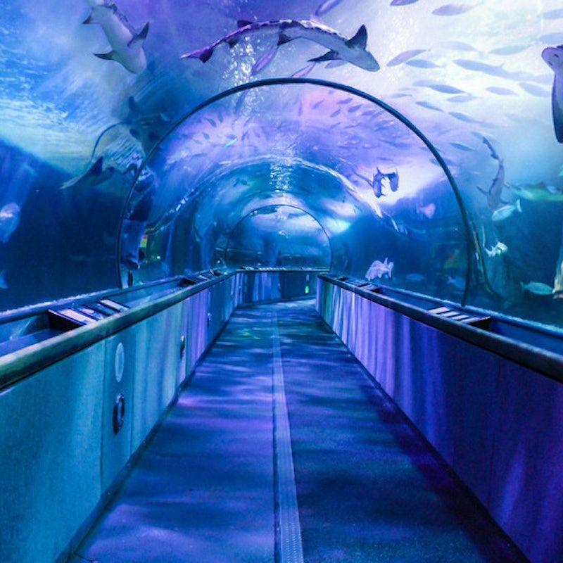 temp_image_SFO_Meta_C1_CATTTS_subcat_A5_9_1_5af06f269e