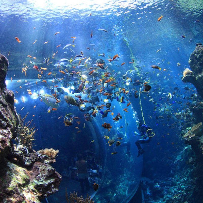 temp_image_SFO_Meta_C1_CATTTS_subcat_A6_3_8_045b18f3d7