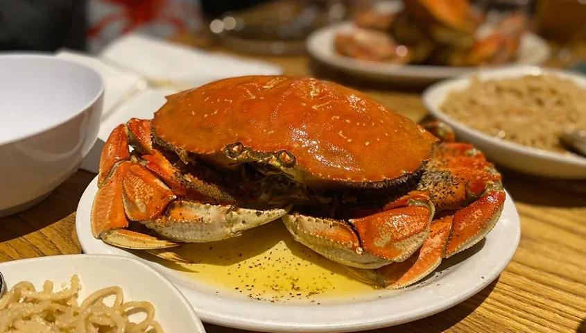 temp_image_SFO_Meta_C2_CATFBD_subcat_D3_listiclecat_D2_3_3_ed8638e359