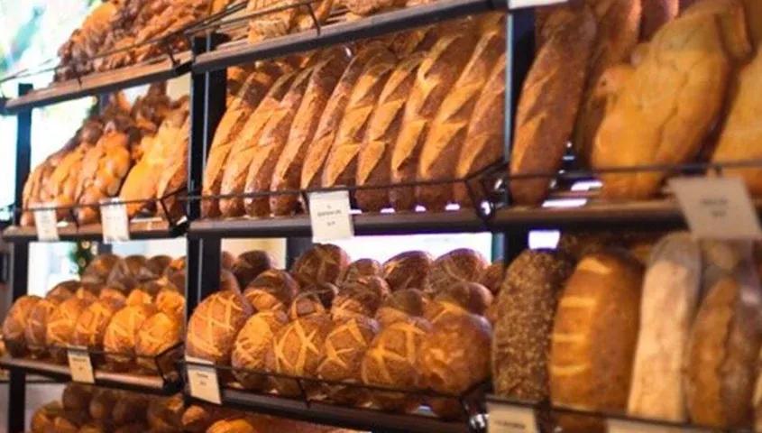 temp_image_SFO_Meta_C2_CATFBD_subcat_D3_listiclecat_D2_5_1_e3c7765f44