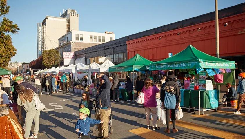 temp_image_SFO_Meta_C2_CATFBD_subcat_D6_3_2_98e33452e6