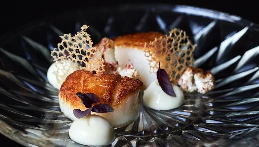 temp_image_SFO_Meta_C2_CATFBD_subcat_E1_4_0_9cdca246c1